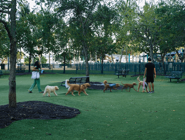 DUOS_Wynwood_Fotografia-53 1