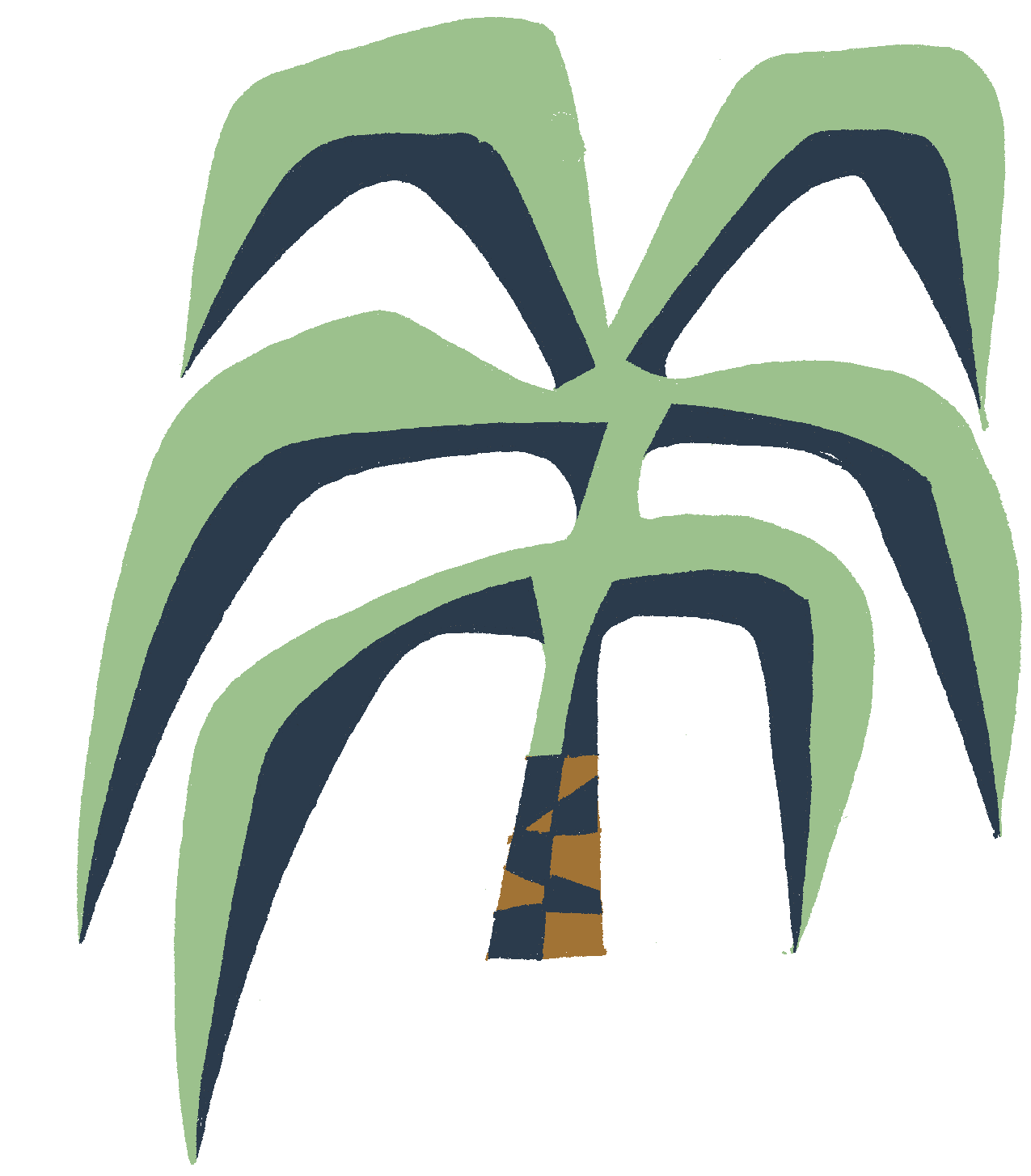 Palm