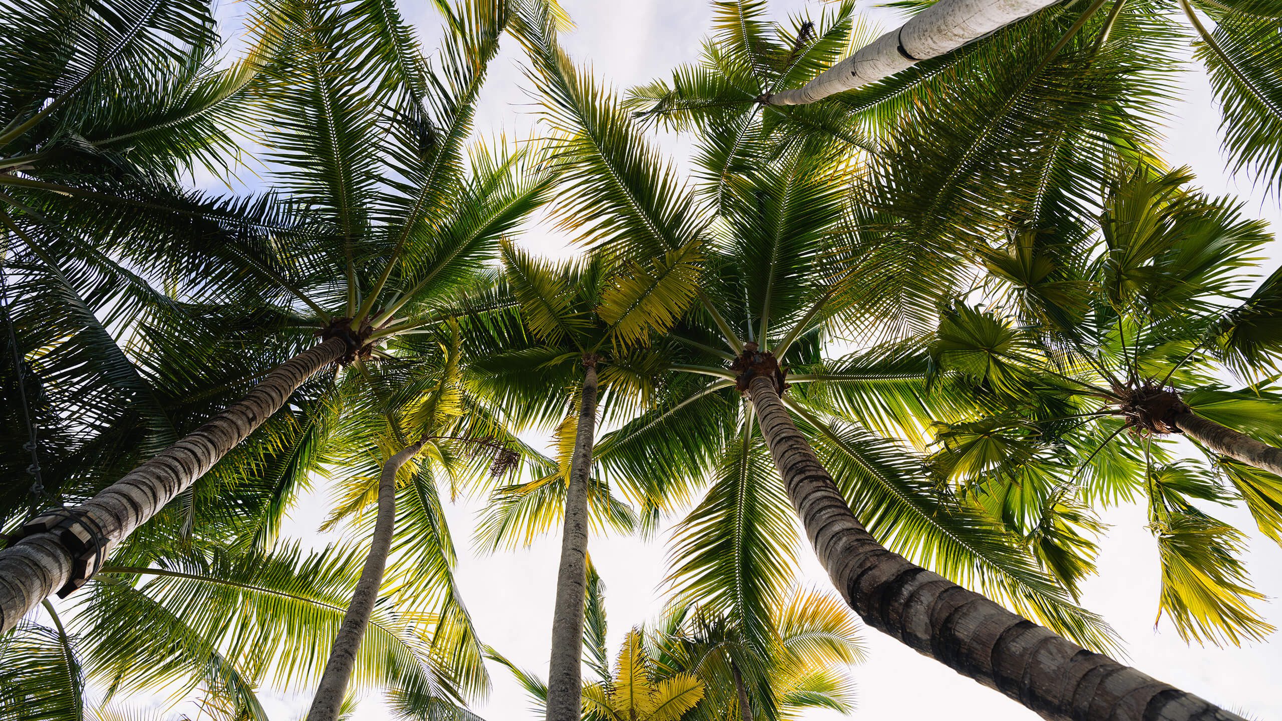 DUOS_Wynwood_Fotografia-1